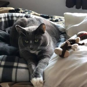 Meet your Posher, Terry